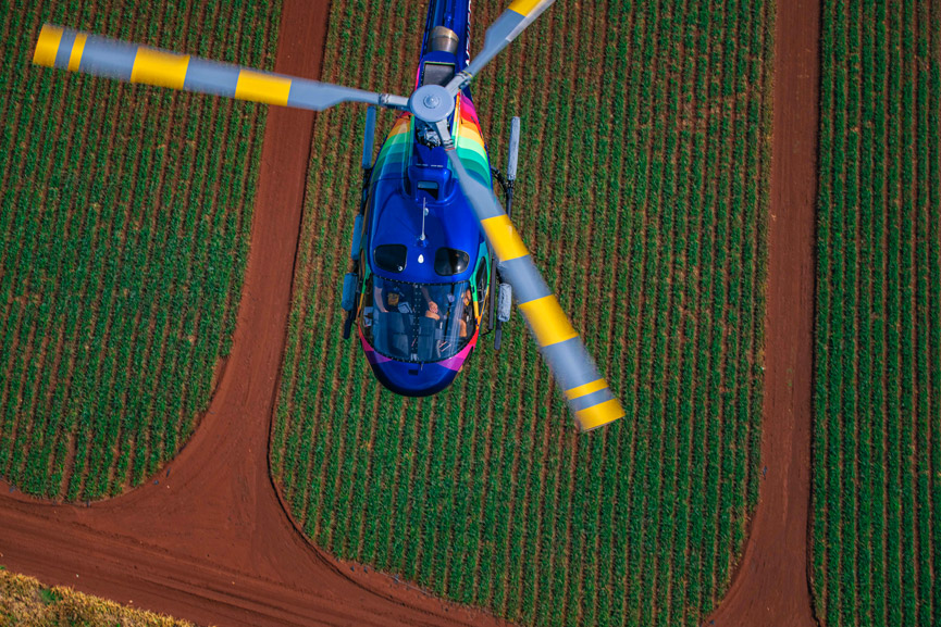 Rainbow Helicopters Above Fields