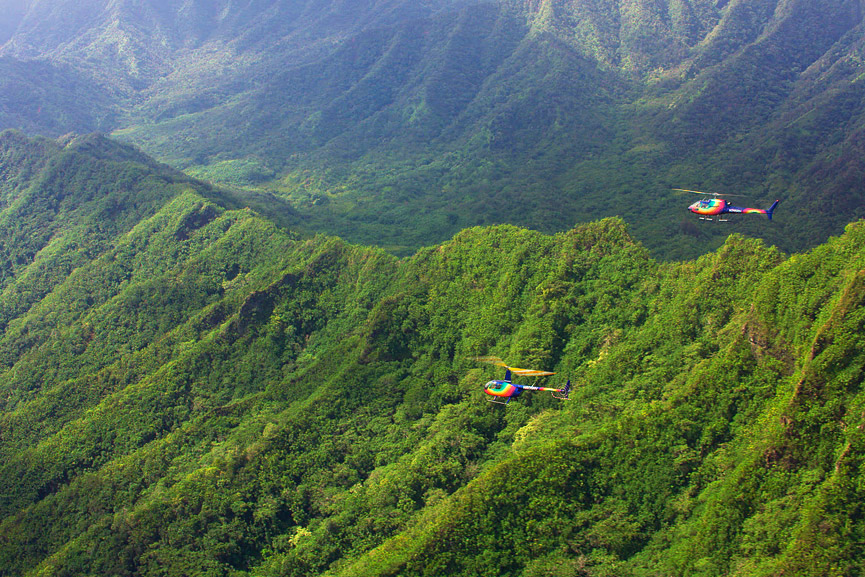 Two Rainbow Helicopters flying above Oahu rainforests