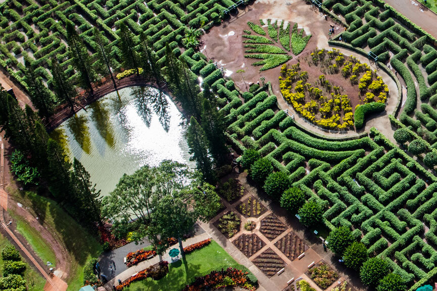 Aerial photo of Dole Plantation maze below