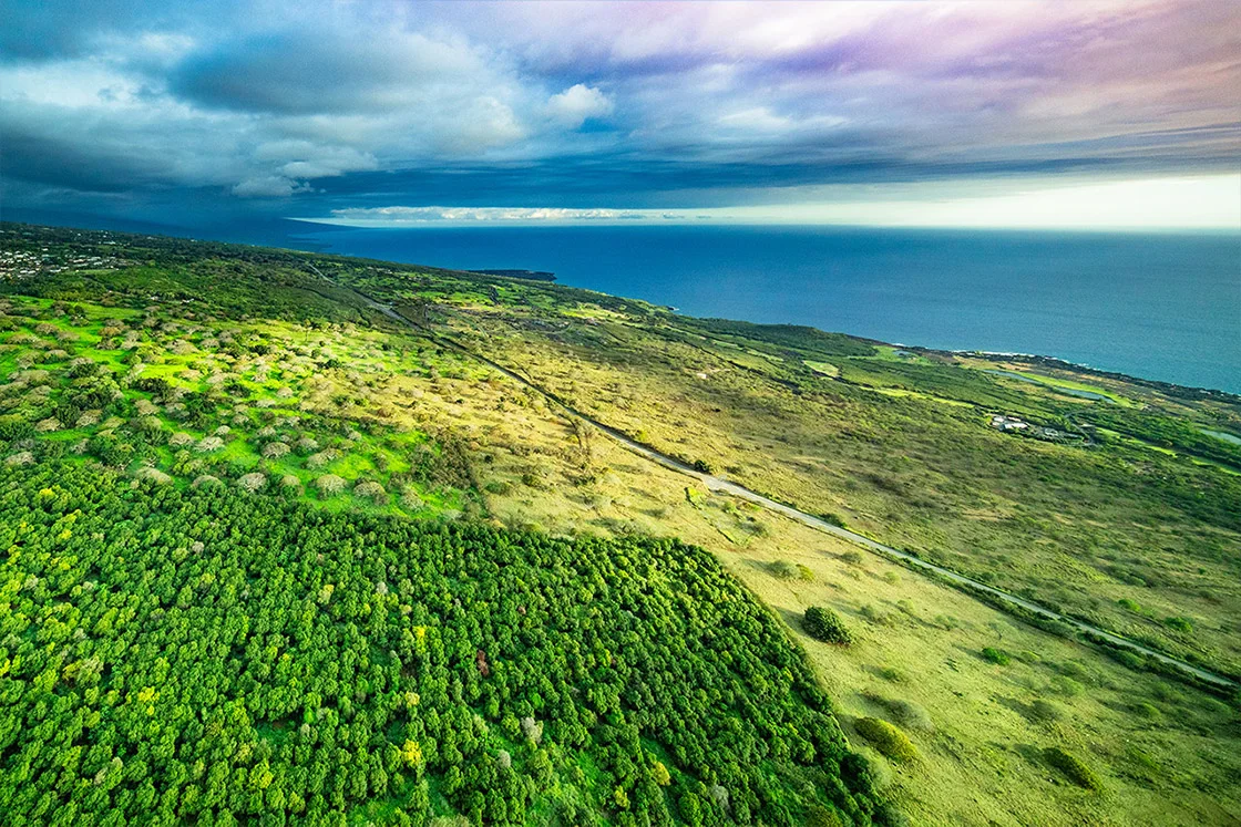 Big Island private helicopter charter. Kona Coffee Farms as seen from a Rainbow Helicopter tour of Hawaii's Big Island