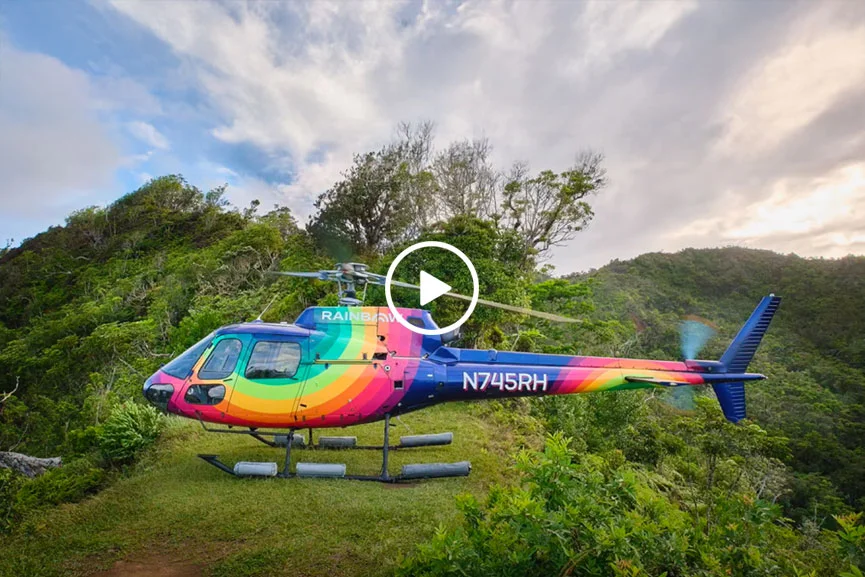 Rainbow Helicopters Video Recap 2024